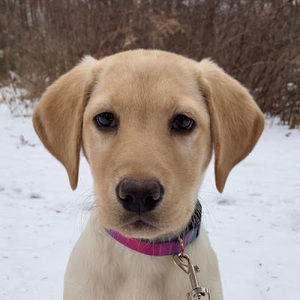 Meet your Posher, Jillian